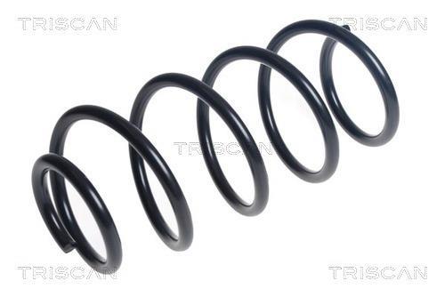 Mola de suspensão Triscan A/S ref. 8750 16171