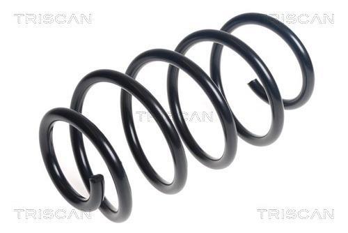 Mola de suspensão Triscan A/S ref. 8750 16172