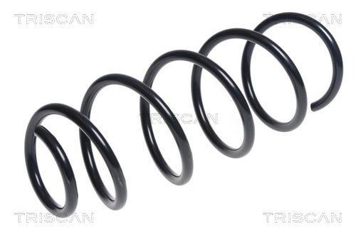 Mola de suspensão Triscan A/S ref. 8750 16177