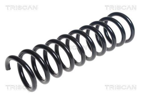 Mola de suspensão Triscan A/S ref. 8750 16178
