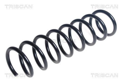 Mola de suspensão Triscan A/S ref. 8750 16182