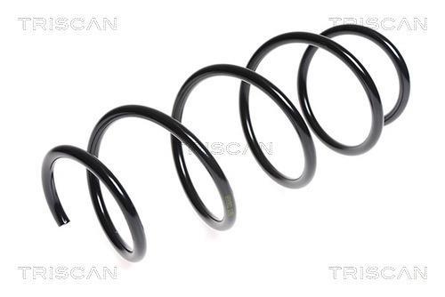 Mola de suspensão Triscan A/S ref. 8750 23132