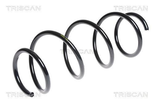 Mola de suspensão Triscan A/S ref. 8750 23133