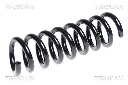 Mola de suspensão Triscan A/S ref. 8750 23134