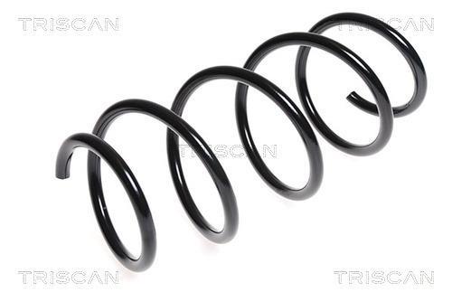 Mola de suspensão Triscan A/S ref. 8750 23135