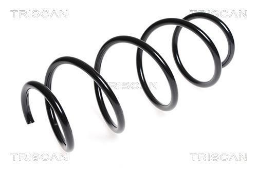 Mola de suspensão Triscan A/S ref. 8750 23137