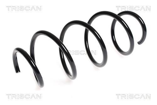 Mola de suspensão Triscan A/S ref. 8750 23139