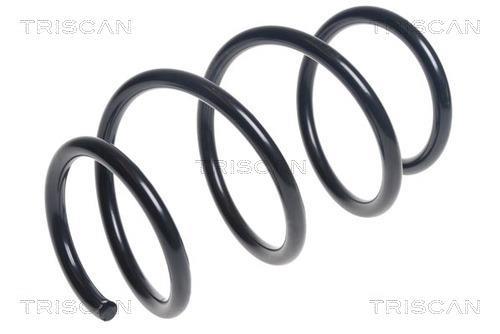 Mola de suspensão Triscan A/S ref. 8750 23182