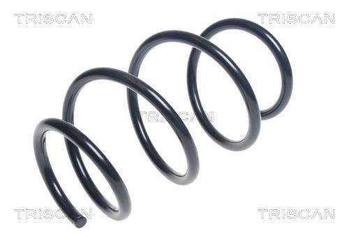 Mola de suspensão Triscan A/S ref. 8750 23184