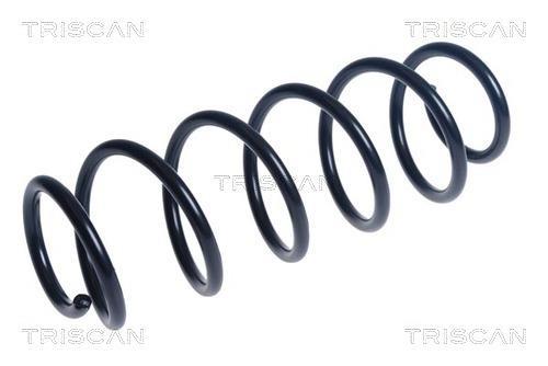 Mola de suspensão Triscan A/S ref. 8750 23225