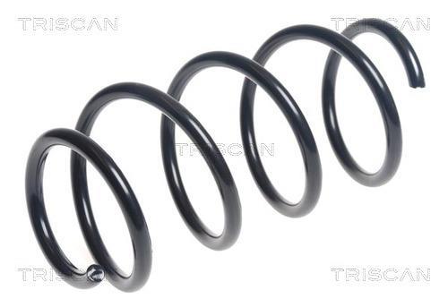 Mola de suspensão Triscan A/S ref. 8750 24193