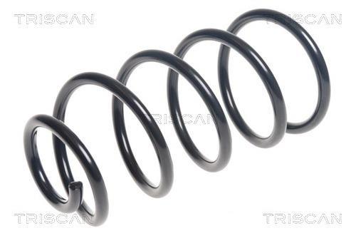 Mola de suspensão Triscan A/S ref. 8750 24194