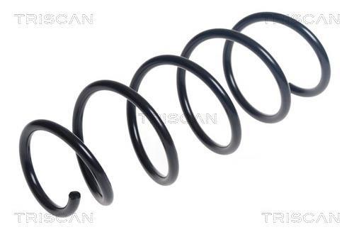 Mola de suspensão Triscan A/S ref. 8750 24210