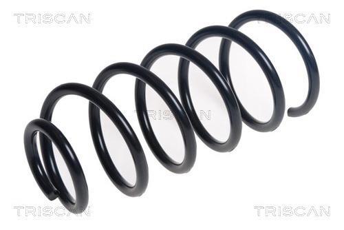 Mola de suspensão Triscan A/S ref. 8750 24218