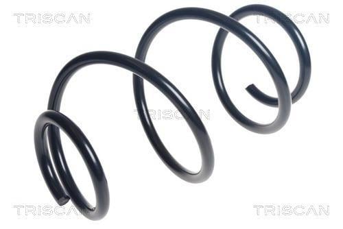 Mola de suspensão Triscan A/S ref. 8750 24225