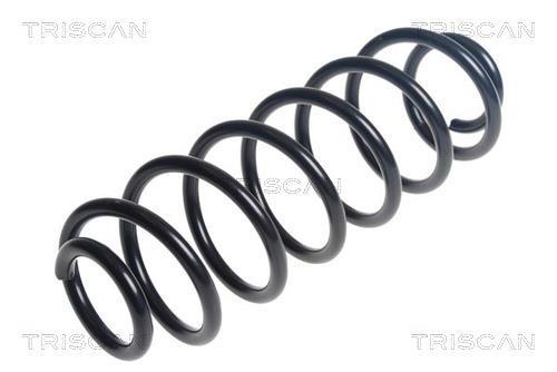 Mola de suspensão Triscan A/S ref. 8750 24233