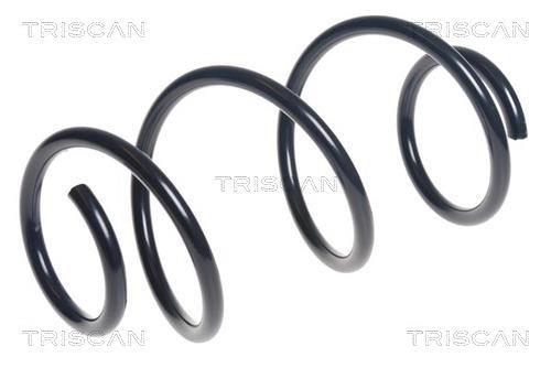 Mola de suspensão Triscan A/S ref. 8750 25126