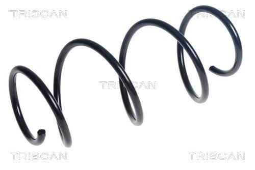 Mola de suspensão Triscan A/S ref. 8750 25148