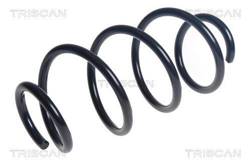 Mola de suspensão Triscan A/S ref. 8750 27131