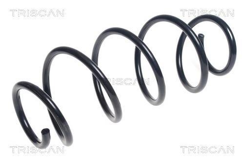 Mola de suspensão Triscan A/S ref. 8750 28273