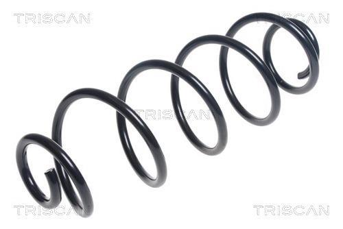 Mola de suspensão Triscan A/S ref. 8750 28276