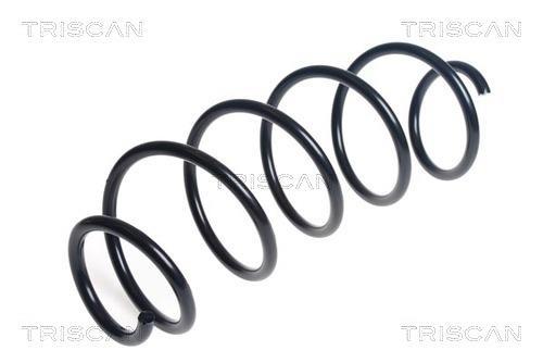 Mola de suspensão Triscan A/S ref. 8750 28296