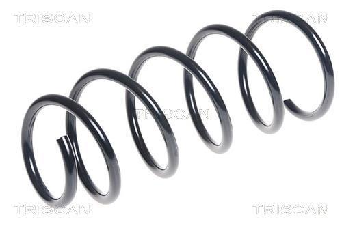 Mola de suspensão Triscan A/S ref. 8750 29262