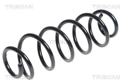 Mola de suspensão Triscan A/S ref. 8750 29343