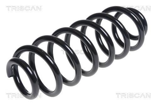 Mola de suspensão Triscan A/S ref. 8750 29365