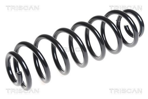 Mola de suspensão Triscan A/S ref. 8750 29382