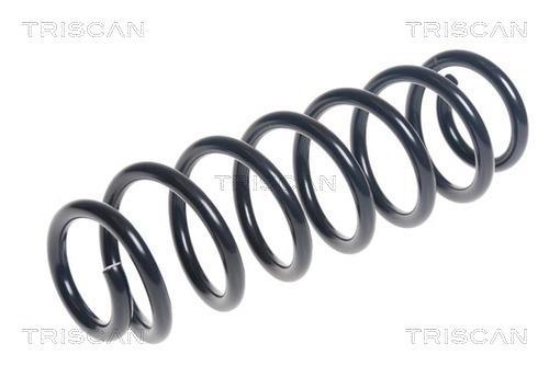 Mola de suspensão Triscan A/S ref. 8750 29402