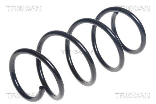 Mola de suspensão Triscan A/S ref. 8750 29408