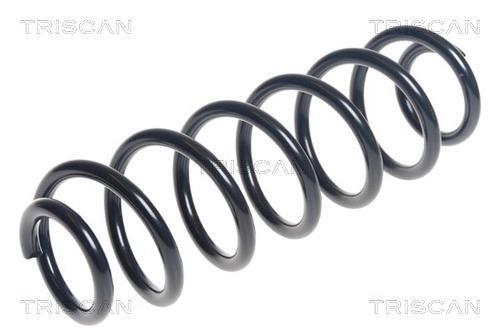Mola de suspensão Triscan A/S ref. 8750 29416