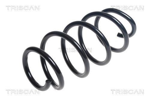 Mola de suspensão Triscan A/S ref. 8750 29420