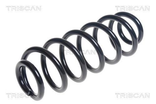 Mola de suspensão Triscan A/S ref. 8750 29424