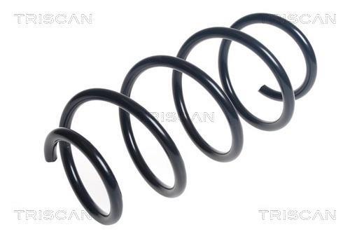 Mola de suspensão Triscan A/S ref. 8750 29433