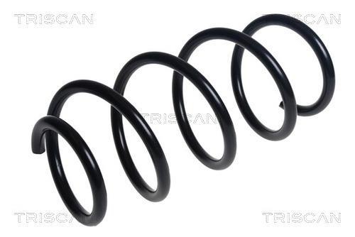 Mola de suspensão Triscan A/S ref. 8750 29483