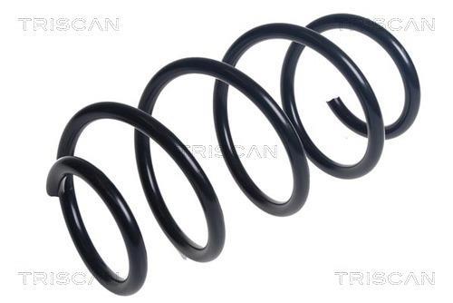 Mola de suspensão Triscan A/S ref. 8750 29486