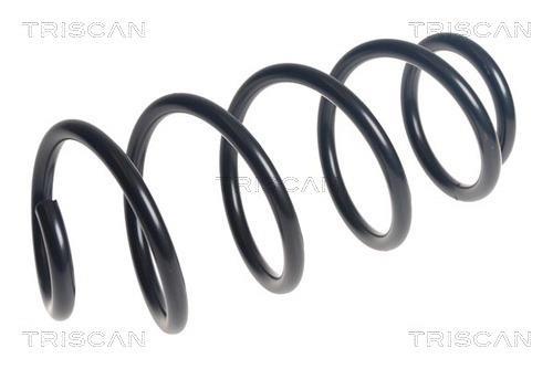 Mola de suspensão Triscan A/S ref. 8750 29489