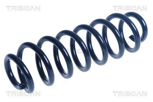 Mola de suspensão Triscan A/S ref. 8750 29517