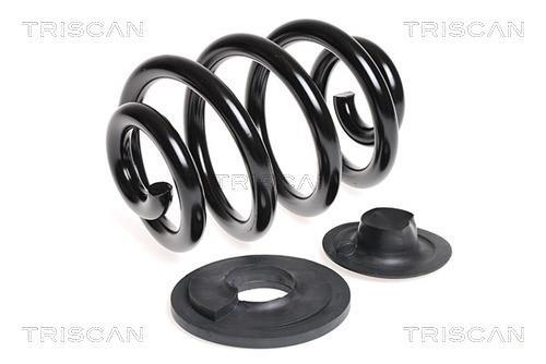 Mola de suspensão Triscan A/S ref. 8750 2997A