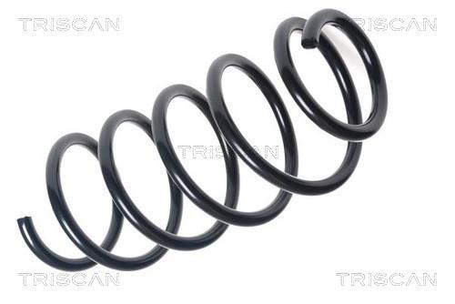 Mola de suspensão Triscan A/S ref. 8750 40106