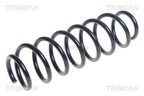 Mola de suspensão Triscan A/S ref. 8750 40108
