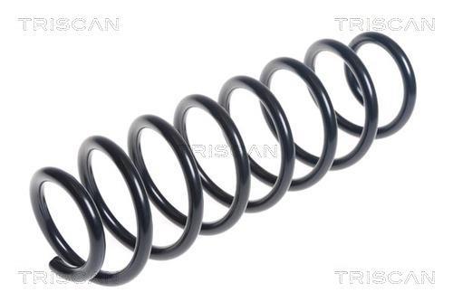 Mola de suspensão Triscan A/S ref. 8750 40110