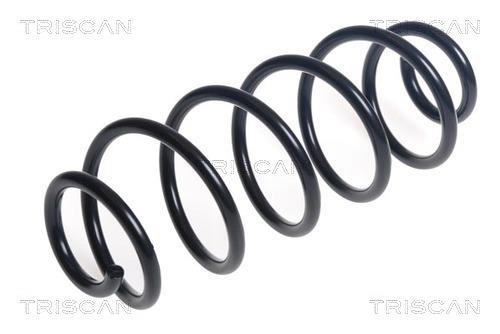 Mola de suspensão Triscan A/S ref. 8750 40116