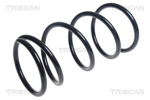 Mola de suspensão Triscan A/S ref. 8750 42104
