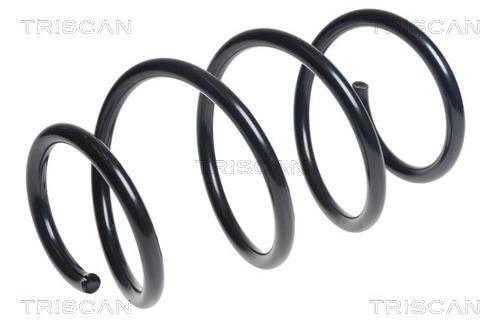 Mola de suspensão Triscan A/S ref. 8750 42111
