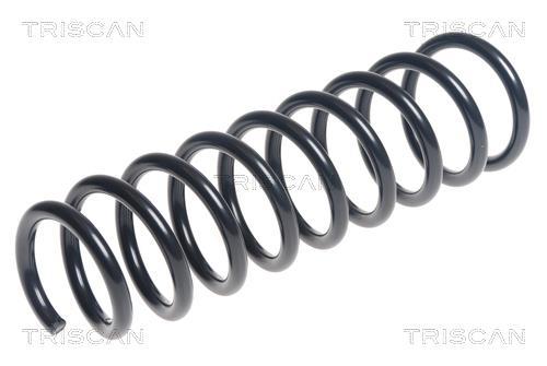 Mola de suspensão Triscan A/S ref. 8750 43125