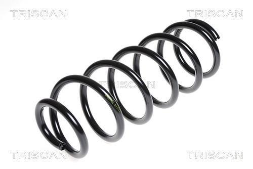Mola de suspensão Triscan A/S ref. 8750 5063