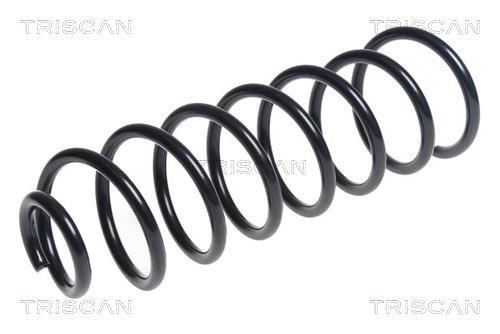 Mola de suspensão Triscan A/S ref. 8750 6553